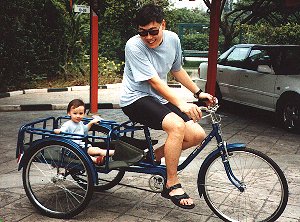 Cheap Chinese Tricycle